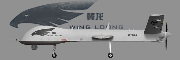 Wing Loong I